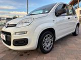 FIAT Panda 1.2 69cv E6d-Temp