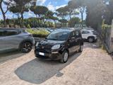FIAT Panda HYBRID 1.0cc 70cv
