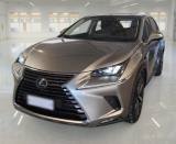 LEXUS NX 300 Hybrid 4WD Luxury