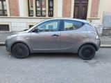 LANCIA Ypsilon 1.2 69 CV 5 porte Elefantino