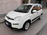 FIAT Panda 1.0 FireFly S&S Hybrid prezzo REALE