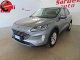 FORD Kuga 1.5 EcoBlue 120 CV 2WD Titanium