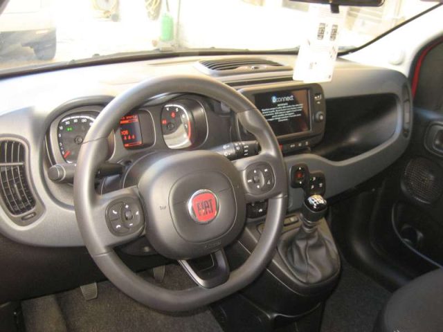 FIAT NEW PANDA CROSS 1.0 FIREFLY S-S HYBRID - foto 13