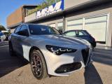 ALFA ROMEO Stelvio 2.2 TD 210CV AT8 Q4 Veloce #VARI COLORI