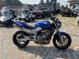 HONDA Hornet 600 Blue