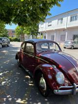 VENDO Auto a Lucca – foto 1