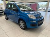 FIAT Panda 1.0 FireFly S&S Hybrid - IN ARRIVO