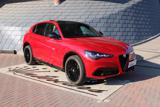 ALFA ROMEO Stelvio 2.2 210 CV AT8 Q4 Veloce TETTO-21