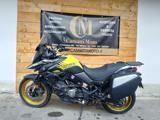 SUZUKI V-Strom 650 v strom