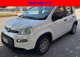 FIAT Panda 1.0 FireFly S&S Hybrid PANDINA 5 POSTI