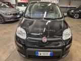 FIAT Panda 1.0 FireFly S&S Hybrid Pandina