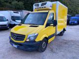 MERCEDES-BENZ Sprinter  Frigo in FNA