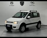 FIAT Panda II 2003 -  1.3 mjt 16v Climbing 4x4 75cv