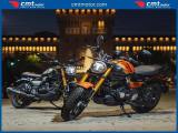 OTHERS-ANDERE OTHERS-ANDERE TVS Motor Ronin 250 Garantita e Finanziabile