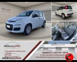 FIAT Panda 1.3 MJT 95 CV S&S Easy