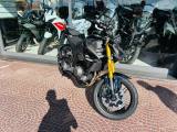 MORBIDELLI F352 NUOVA! PRONTA CONSEGNA, ULTIMA DISPONIBILE
