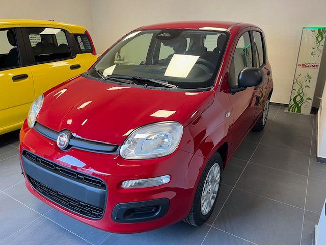FIAT Panda 1.0 FireFly S&S Hybrid Pop con pack city e 5 posti