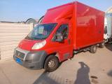FIAT cassonato  fiat ducato