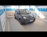 FIAT New Panda 1.0 firefly hybrid Cross s&s 70cv 5p.ti