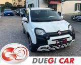 FIAT Panda 1.0 FireFly S&S Hybrid Pandina