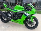 KAWASAKI Ninja 636 ZX-6R ABS 2026