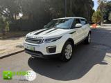 LAND ROVER Range Rover Evoque 2.0 eD4 5p. Business Edition Premium Pure