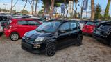 FIAT Panda HYBRID 1.0cc 70cv