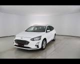 FORD Focus 1.5 EcoBlue 120 CV automatico SW Business Co-Pilo