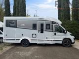 LAIKA  Ecovip L3019