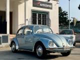 VOLKSWAGEN Maggiolino Winter Bug Edition 1200 L (Messico)