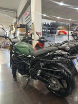 BENELLI Leoncino 800 leoncino 800
