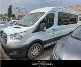 FORD Transit 350 2.0TDCi EcoBlue 130CV PL-TM 9 POSTI