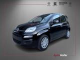 FIAT Panda 1.0 FireFly S&S Hybrid Radio Clima 5P **AKTION**