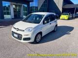 FIAT Panda 1.0 FireFly S&S Hybrid / Kit 5 Posti