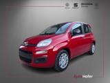FIAT Panda 1.0 FireFly S&S Hybrid Radio Clima 5P **AKTION**