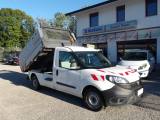FIAT Doblo Doblò 1.3 MJT RIBALTABILE Work-Up