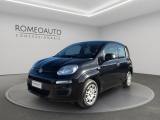 FIAT Panda 1.0 Hybrid 70cv 5 posti