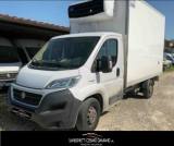 FIAT Ducato 35 2.3 MJT 130CV PL Cabinato Maxi FRIGO FRCX -20°