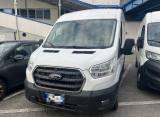 FORD Transit 310 2.0TDCi EcoBlue MHEV 130CV PM-TM Furgone Trend