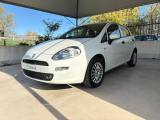 FIAT Punto 1.2 8V 5 porte Lounge  EURO 6 TENUTA BENE