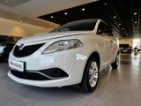 LANCIA Ypsilon 1.2 69 CV 5 porte Platinum