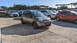 FIAT Panda HYBRID 1.0cc 70cv