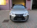 LEXUS UX 250h UX Hybrid Business *GARANZIA 10 ANNI LEXUS