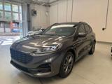 FORD Kuga 2.0 EcoBlue 120 CV Aut. 2WD ST-Line