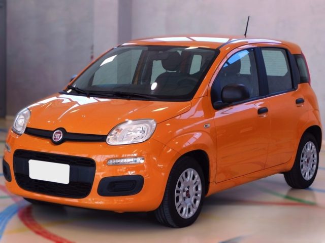 fiat panda 1.2 usata