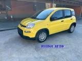 FIAT Panda 1.0  Hybrid ADAS no finanziamento KM ZERO