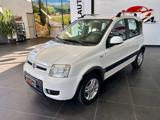 FIAT Panda 1.2 Cross Natural Power