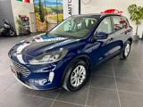 FORD Kuga 1.5 EcoBlue 120 CV 2WD Titanium Business