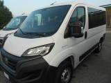 FIAT Ducato PANORAMA 9 POSTI