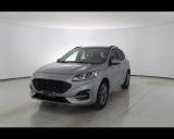 FORD Kuga 1.5 EcoBlue 120 CV aut. 2WD ST-Line